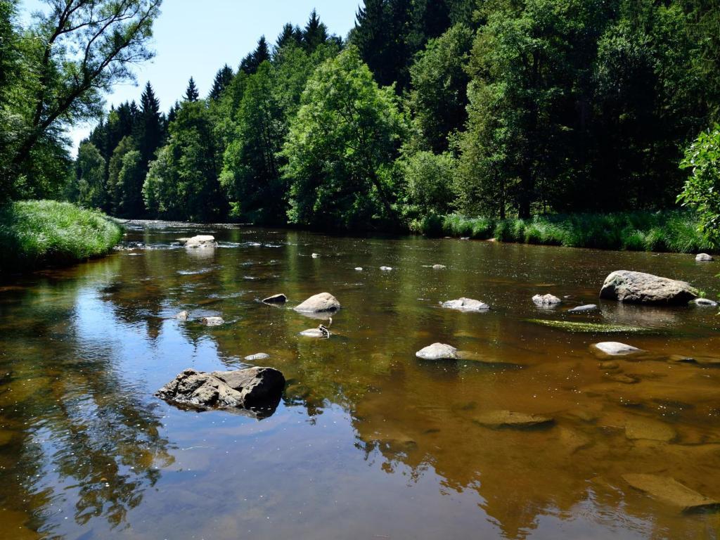 Ferienwohnungen Grill Schönberg الغرفة الصورة